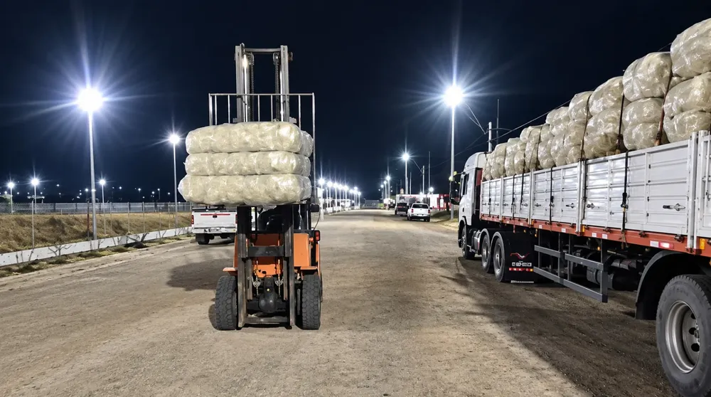 Fardos de lana ovina para exportación