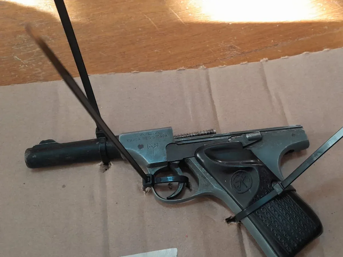 Pistola calibre 22 secuestrada durante el procedimiento