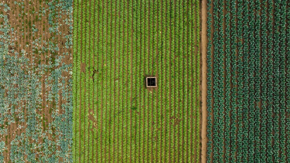 santafe-produce-sustentable