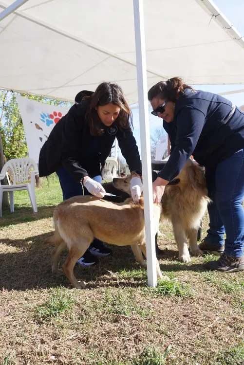 Operativo comunal en el barrio San Cayetano